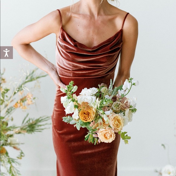 Revelry Dresses & Skirts - Revelry Skye Velvet Dress (Dusty Rose Size 14)